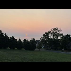 Meet your Posher, Adriana